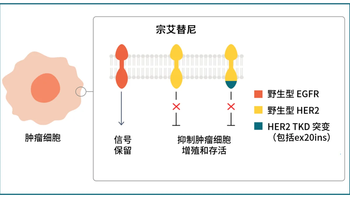 患者与医生讨论宗艾替尼副作用
